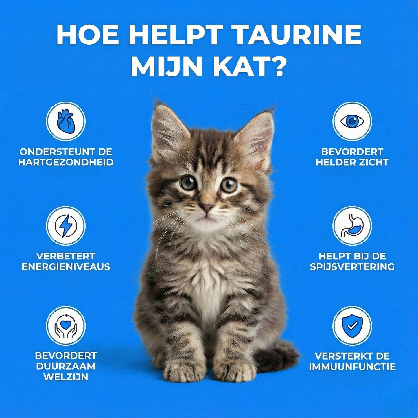 PureTaurine+ - Nr. 1 aanbevolen door dierenartsen